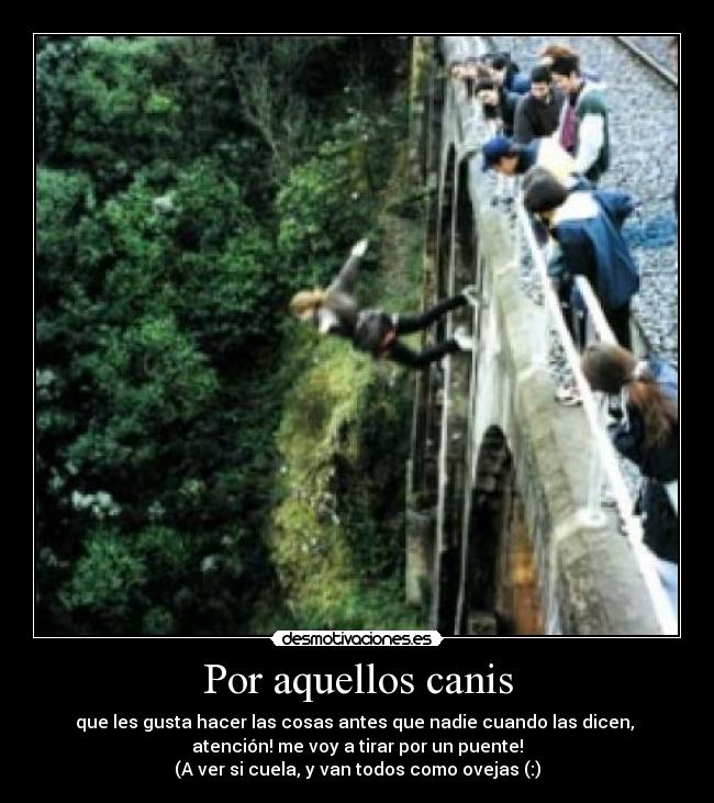 Por aquellos canis - que les gusta hacer las cosas antes que nadie cuando las dicen,
atención! me voy a tirar por un puente!
(A ver si cuela, y van todos como ovejas (:)