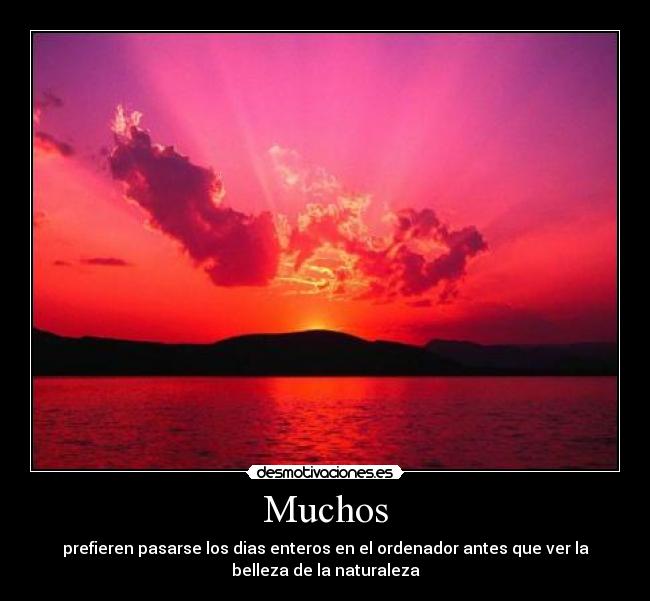 Muchos - 