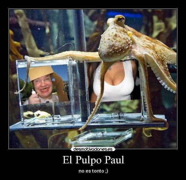 El Pulpo Paul -