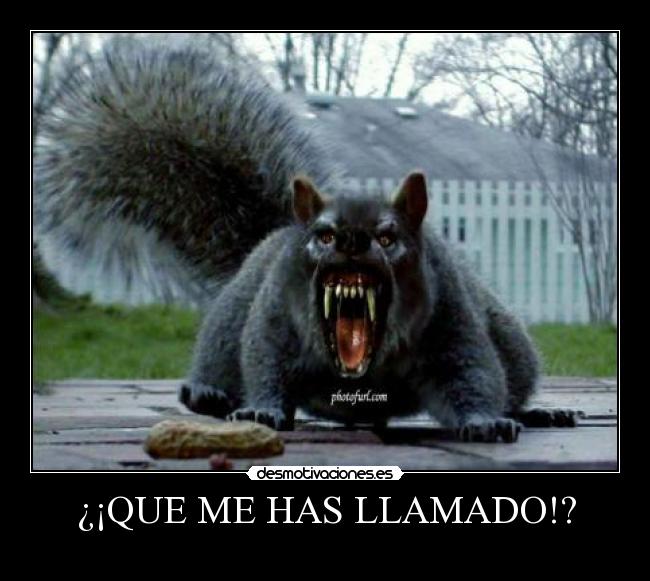 ¿¡QUE ME HAS LLAMADO!? - 