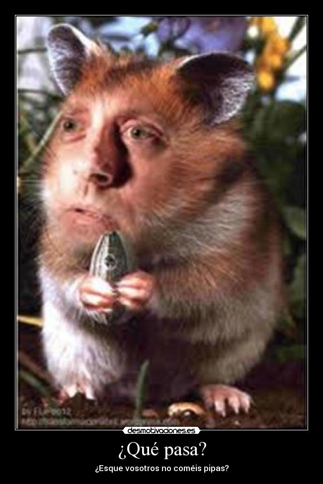 ¿Qué pasa? -