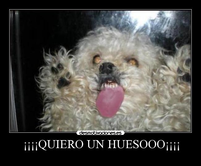 carteles esto que son ansias desmotivaciones