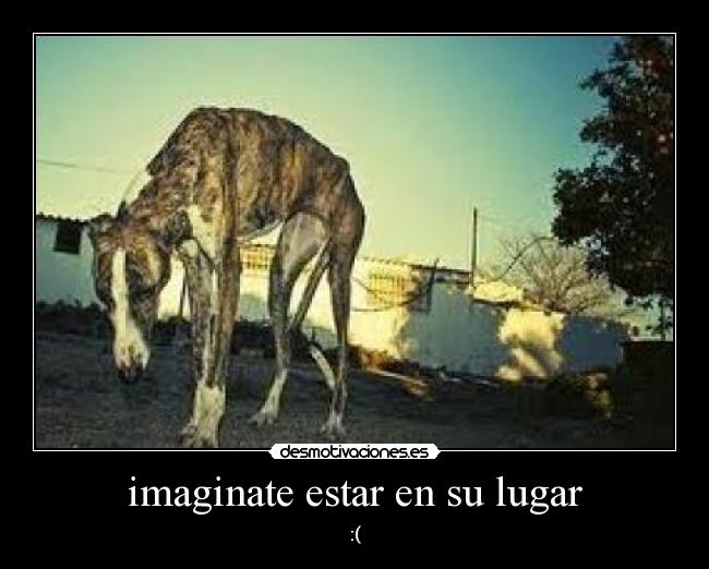 imaginate estar en su lugar - :(