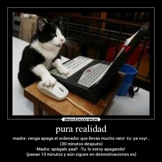 pura realidad - -madre: venga apaga el ordenador que llevas mucho rato! -tu: ya voy!...
(30 minutos después)
-Madre: apágalo yaa!! -Tu: lo estoy apagando!
(pasan 10 minutos y aún sigues en desmotivaciones.es)
