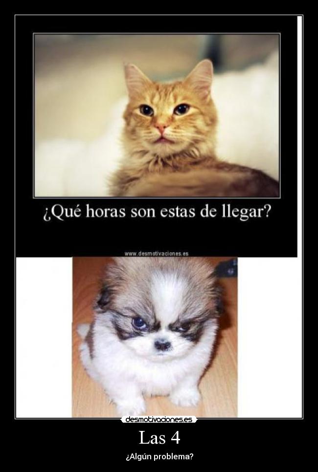 Las 4 - ¿Algún problema?