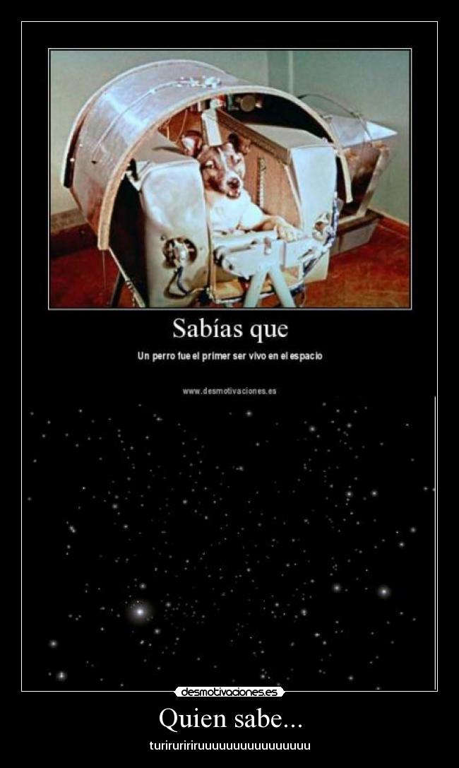 Quien sabe... - turiruririruuuuuuuuuuuuuuuu