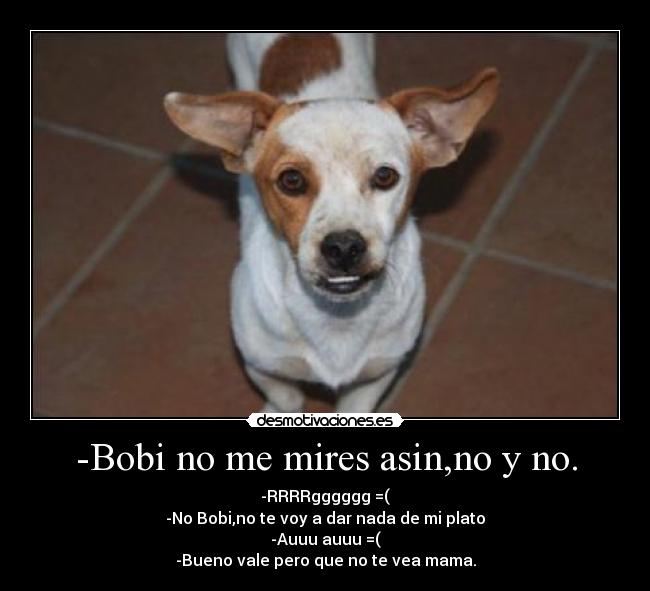 carteles bobi mires desmotivaciones