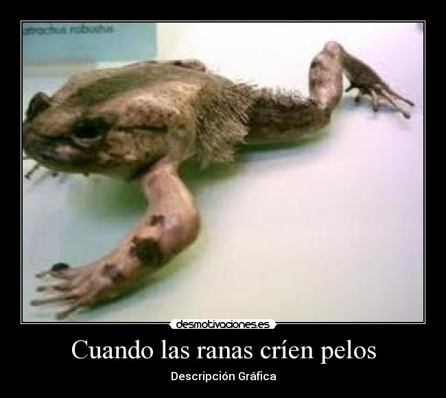 Cuando las ranas críen pelos - 