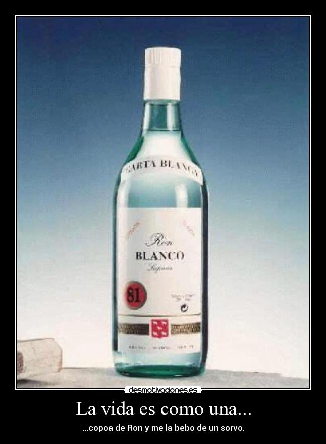 carteles vida desmotivaciones