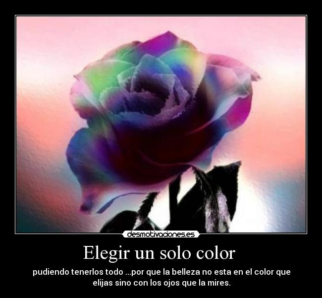 My Image 52