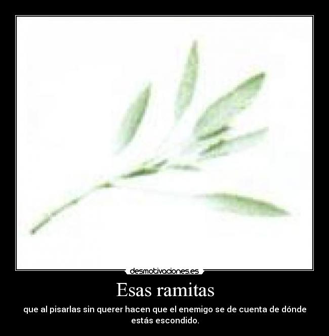 Esas ramitas - 