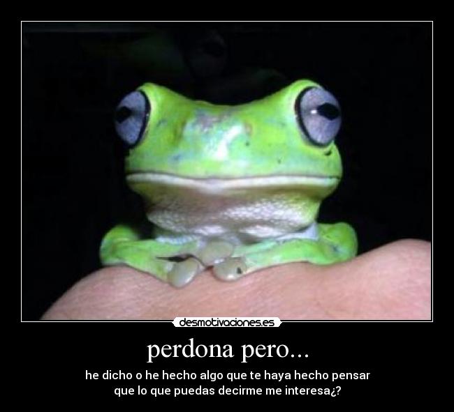 perdona pero... -