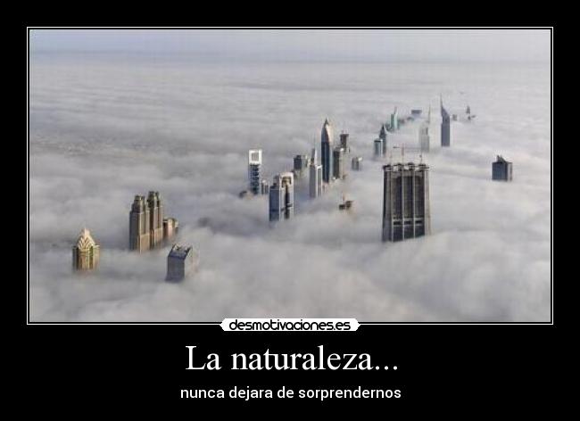 La naturaleza... - 