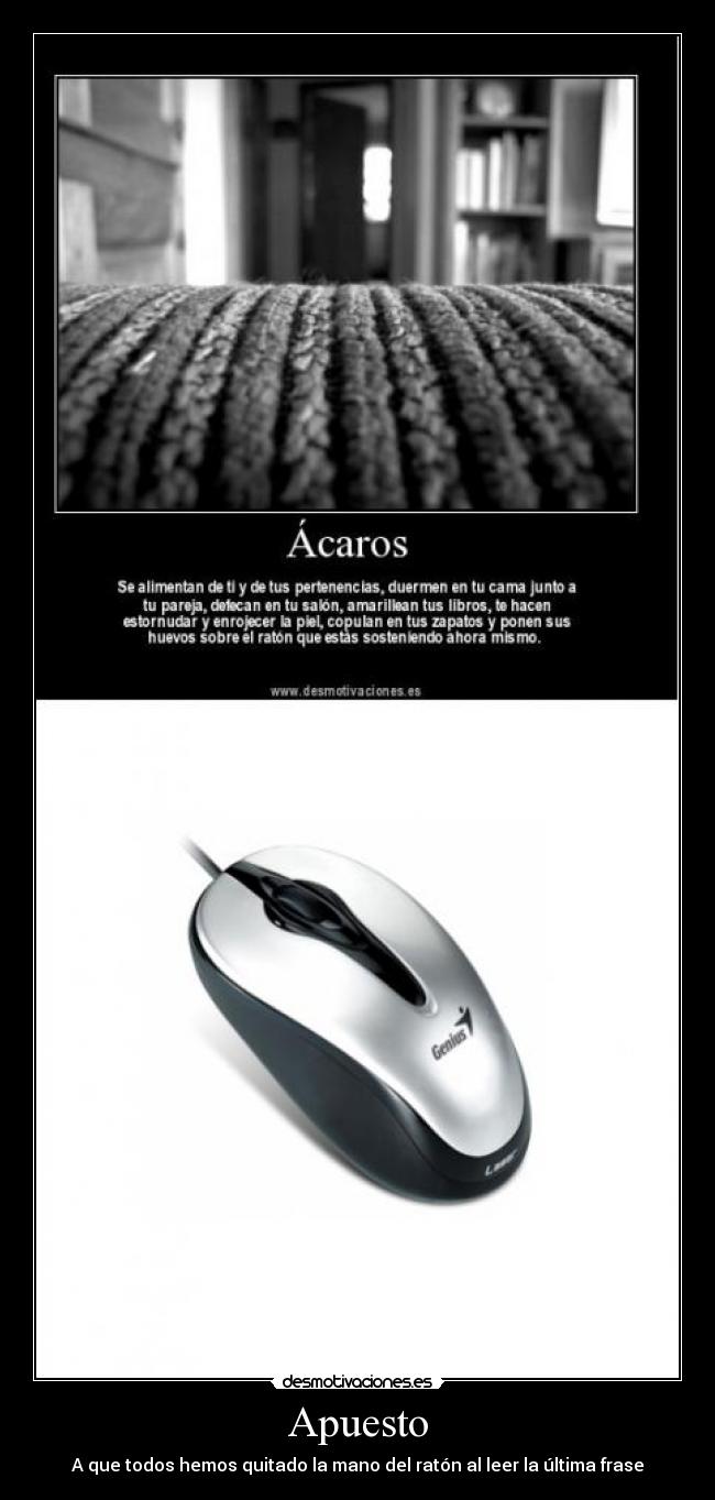 Apuesto - A que todos hemos quitado la mano del ratón al leer la última frase