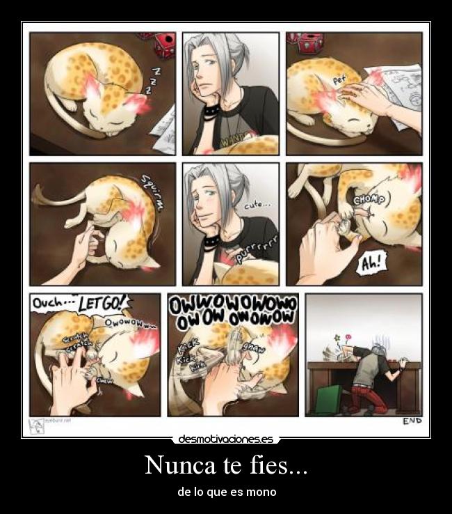 Nunca te fies... -
