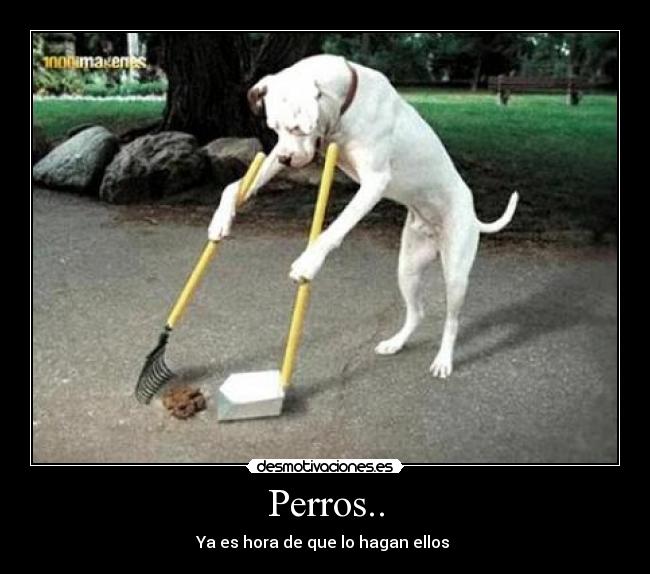Perros.. - 