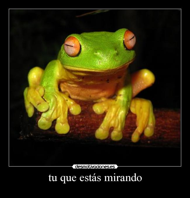 tu que estás mirando - 