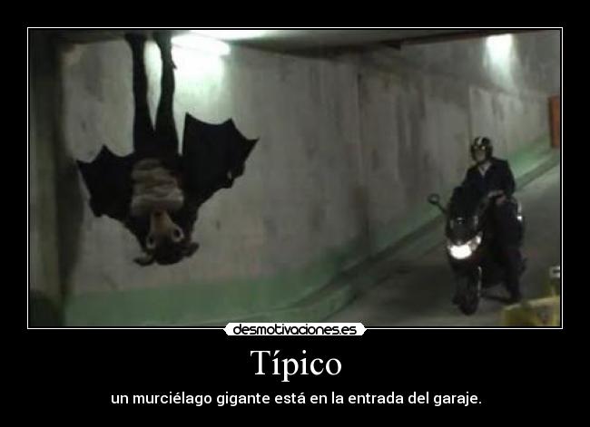 Típico - un murciélago gigante está en la entrada del garaje.