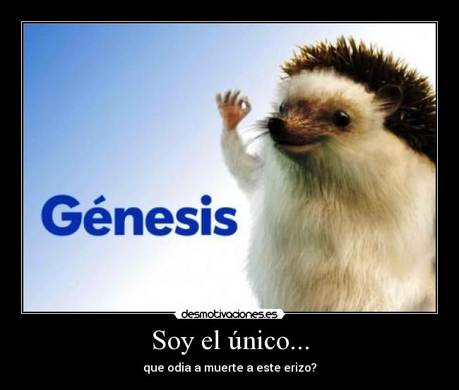 Soy el único... -