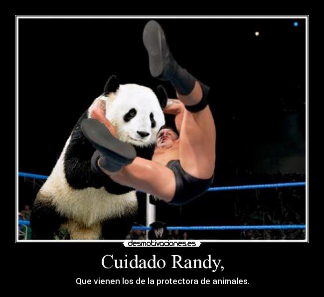 Cuidado Randy, - Que vienen los de la protectora de animales.