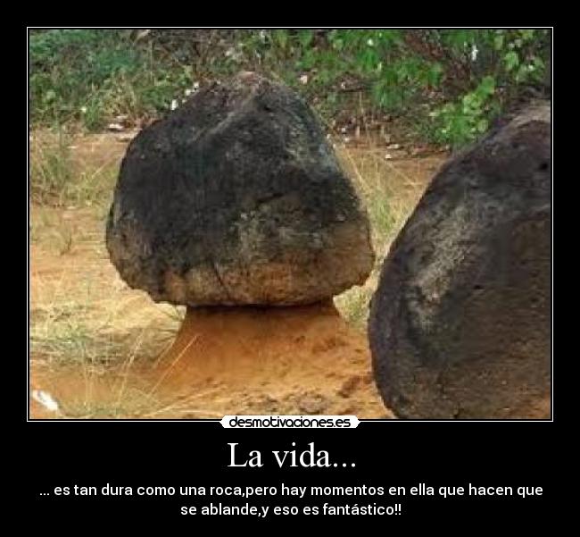 La vida... - ... es tan dura como una roca,pero hay momentos en ella que hacen que
se ablande,y eso es fantástico!!