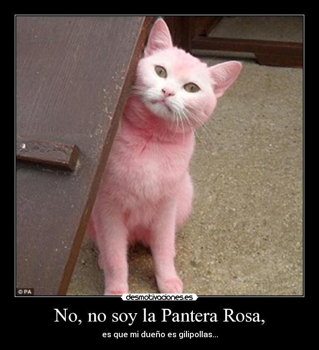 No, no soy la Pantera Rosa, -