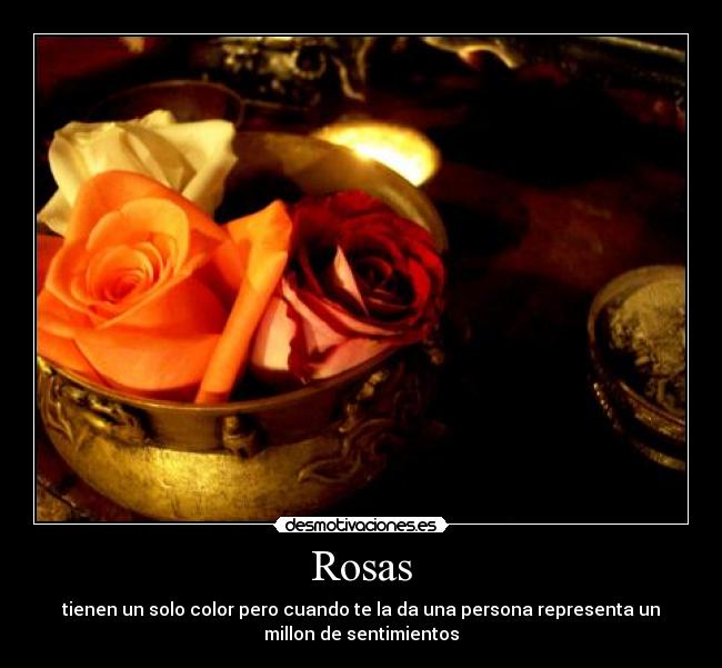 Rosas -