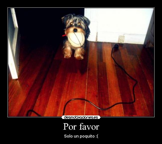 Por favor -