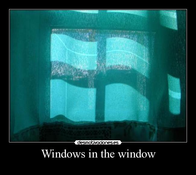 Windows in the window -