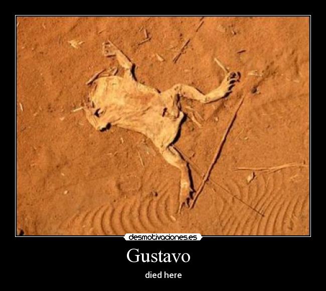 Gustavo -