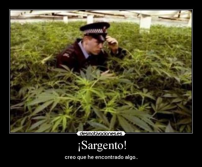 carteles ernanooo desmotivaciones