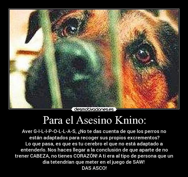 Para el Asesino Knino: -