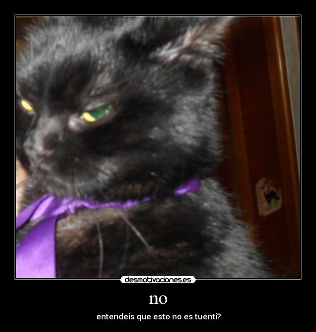 no - entendeis que esto no es tuenti?