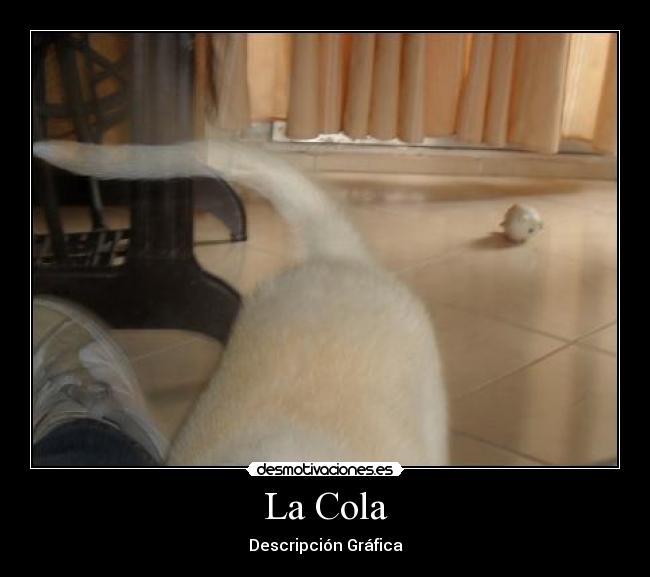 La Cola -