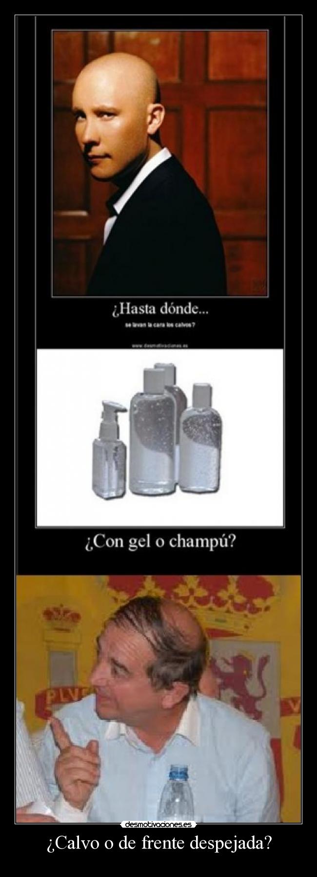carteles calvo frente despejada desmotivaciones