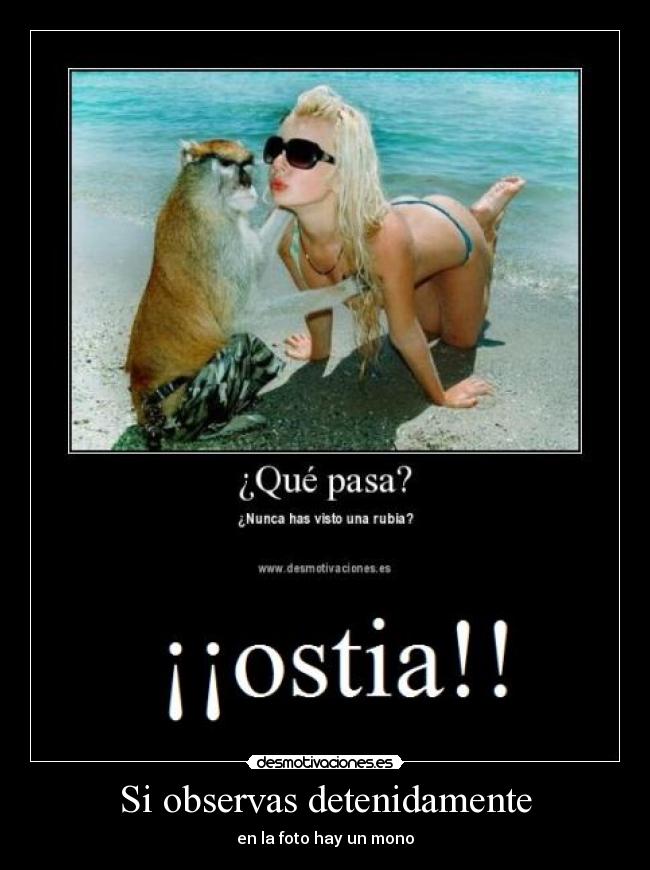 Si observas detenidamente - en la foto hay un mono