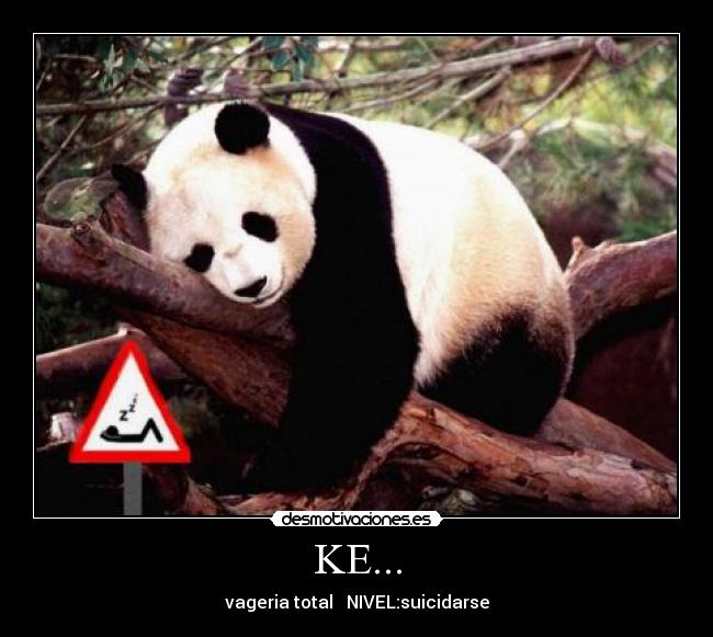 KE... - 