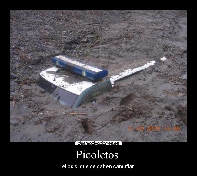 Picoletos -
