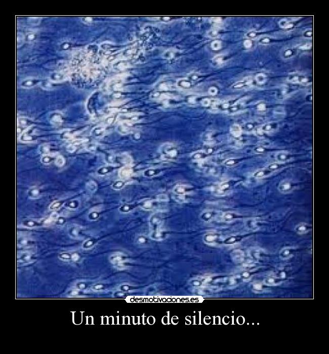 Un minuto de silencio... -