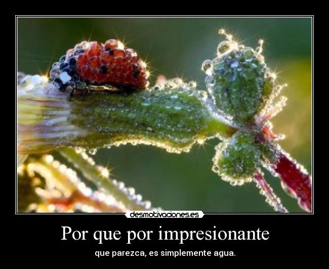 Por que por impresionante -