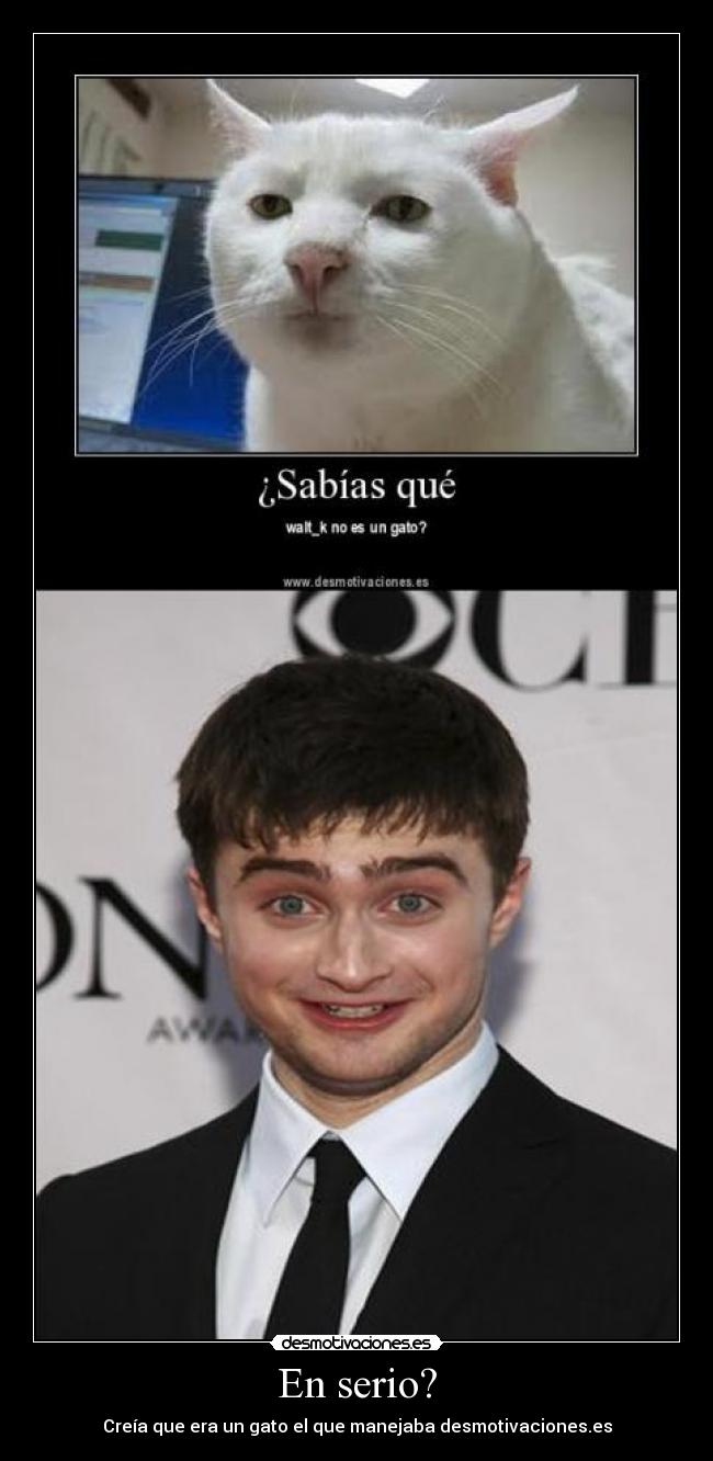 En serio? - Creía que era un gato el que manejaba desmotivaciones.es