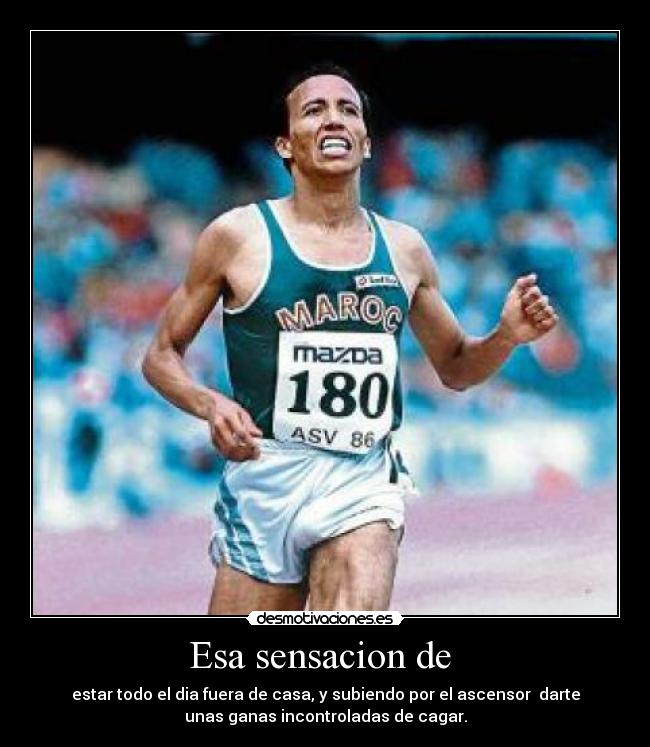 Esa sensacion de - estar todo el dia fuera de casa, y subiendo por el ascensor darte
unas ganas incontroladas de cagar.