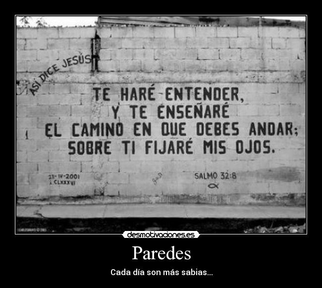 Paredes - Cada día son más sabias...
