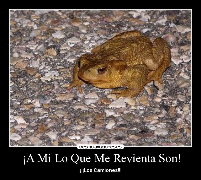 ¡A Mi Lo Que Me Revienta Son! -