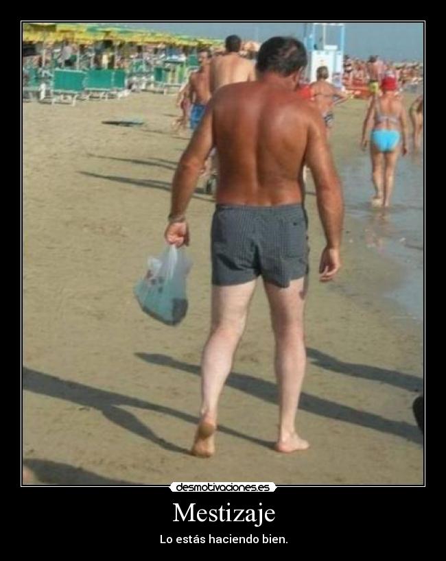 Mestizaje - 