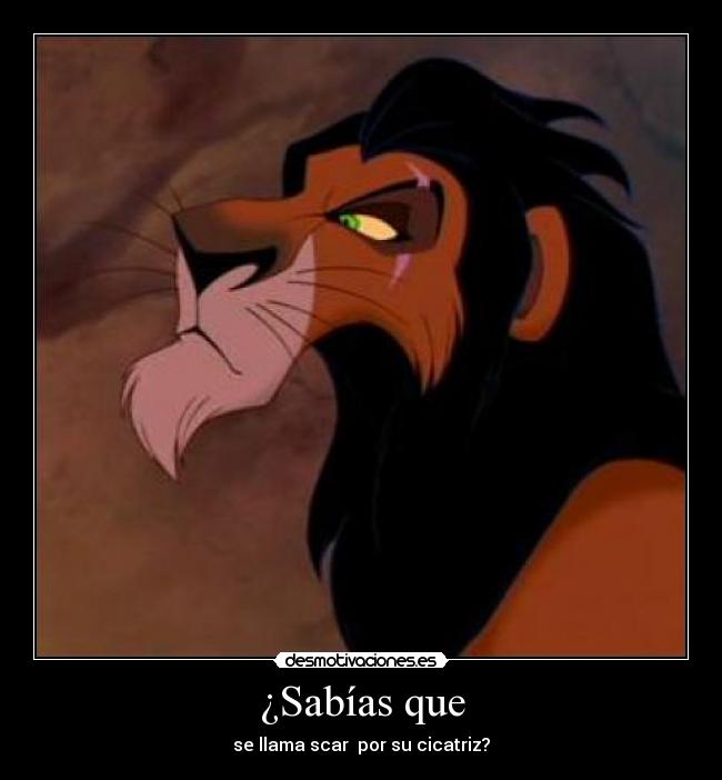 ¿Sabías que - se llama scar  por su cicatriz?