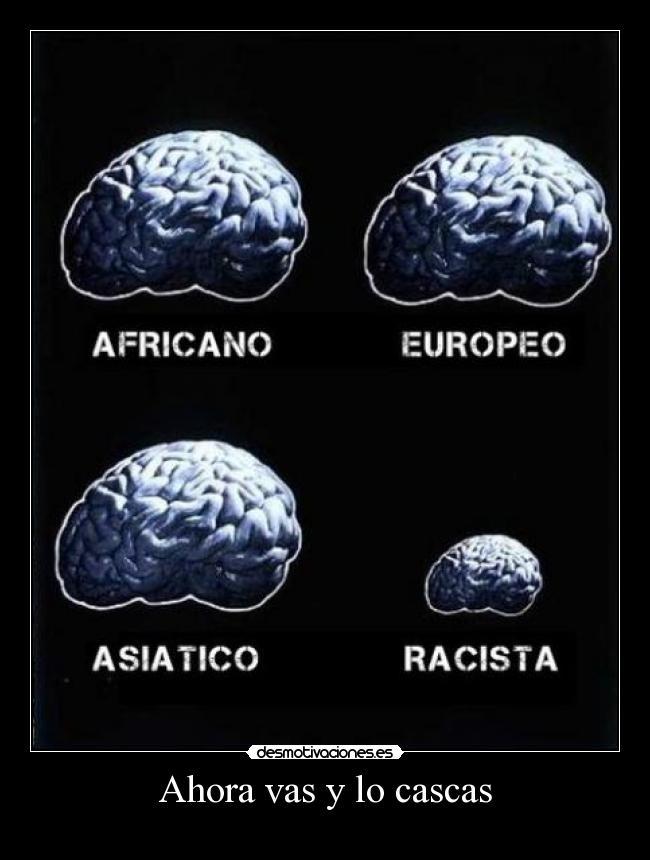 Ahora vas y lo cascas - 