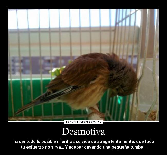 Desmotiva - 