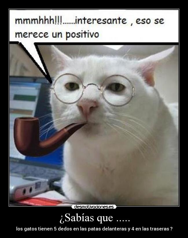 ¿Sabías que ..... -