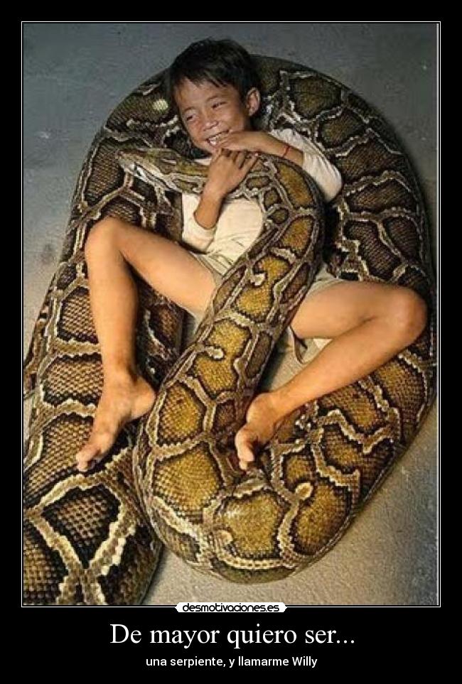 De mayor quiero ser... - una serpiente, y llamarme Willy